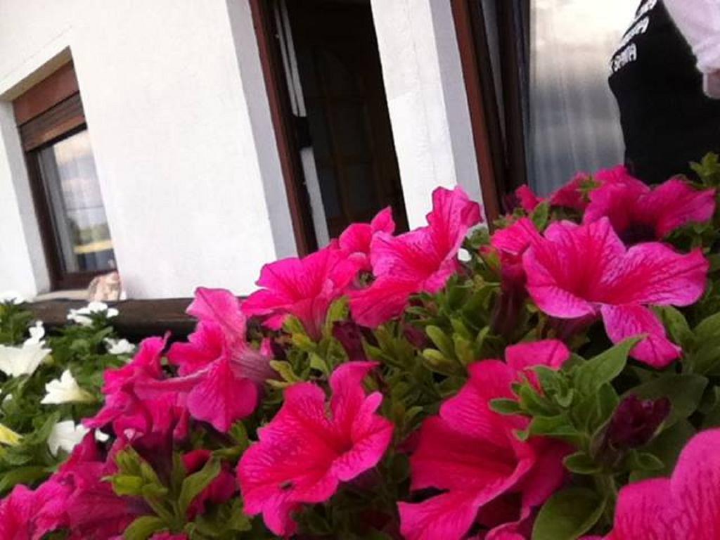 Guesthouse Magdalena Раковица Стая снимка